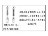 初中物理新滬科版八年級全冊第九章章末復(fù)習(xí)訓(xùn)練作業(yè)課件2025春