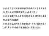 初中物理新滬科版八年級全冊第七章重點實驗突破作業(yè)課件2025春