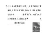 初中物理新滬科版八年級全冊第八章第一節(jié)第二課時(shí) 壓強(qiáng)的應(yīng)用作業(yè)課件2025春