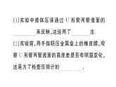 初中物理新滬科版八年級(jí)全冊(cè)第八章第二節(jié)第一課時(shí) 液體壓強(qiáng)的特點(diǎn)作業(yè)課件2025春