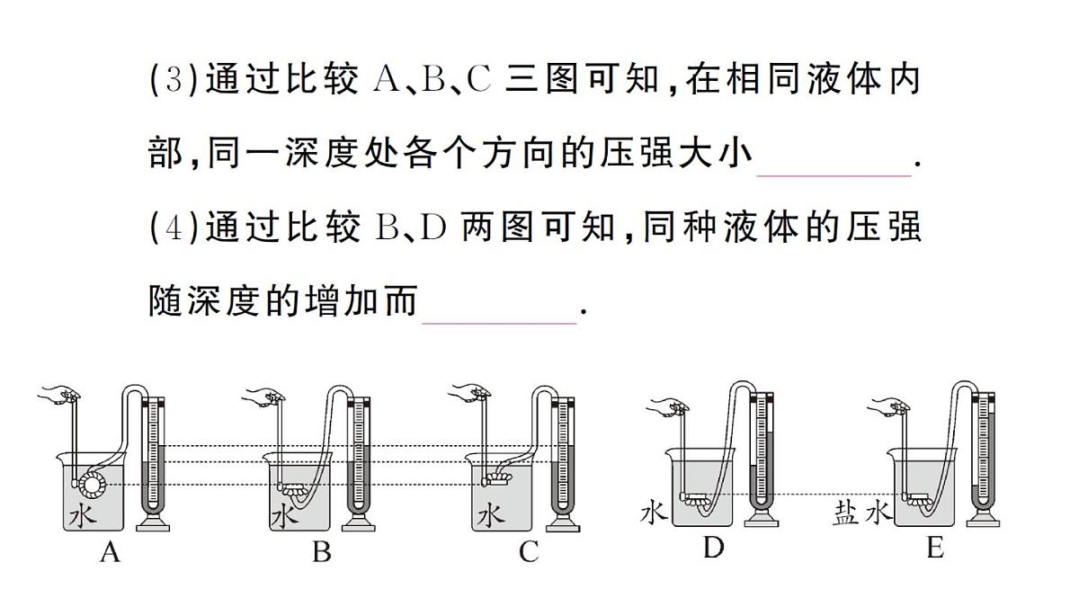 初中物理新沪科版八年级全册第八章第二节第一课时 液体压强的特点作业课件2025春第4页