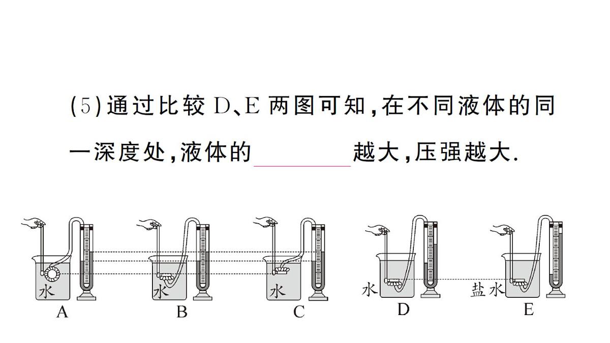 初中物理新沪科版八年级全册第八章第二节第一课时 液体压强的特点作业课件2025春第5页