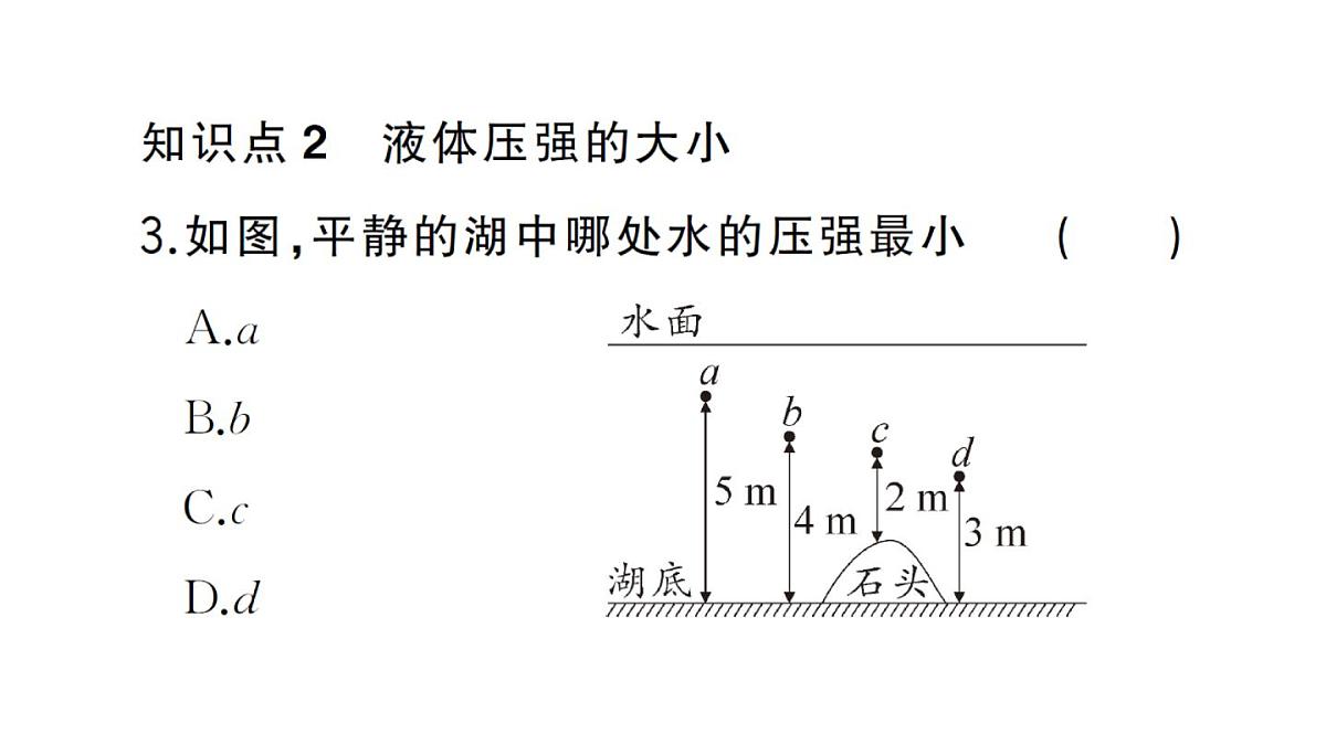 初中物理新沪科版八年级全册第八章第二节第一课时 液体压强的特点作业课件2025春第7页