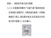 初中物理新滬科版八年級全冊第七章專題一 力的示意圖作業(yè)課件2025春