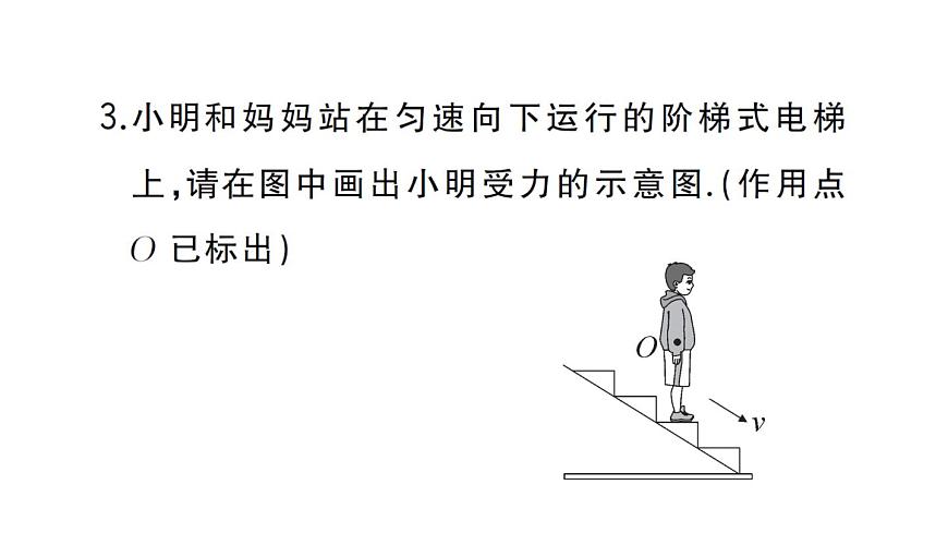 初中物理新沪科版八年级全册第七章专题一 力的示意图作业课件2025春第4页