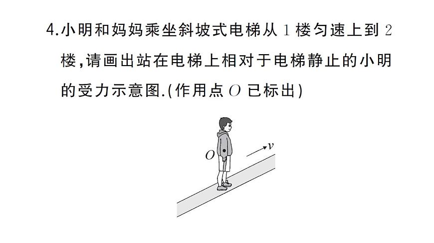 初中物理新沪科版八年级全册第七章专题一 力的示意图作业课件2025春第5页