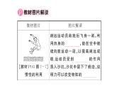 初中物理新滬科版八年級全冊第七章章末復(fù)習(xí)訓(xùn)練作業(yè)課件2025春