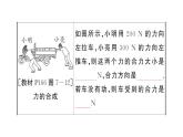 初中物理新滬科版八年級全冊第七章章末復(fù)習(xí)訓(xùn)練作業(yè)課件2025春