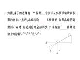 初中物理新滬科版八年級全冊第七章綜合訓(xùn)練作業(yè)課件2025春