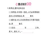 初中物理新滬科版八年級全冊第十一章第三節(jié)第一課時 認(rèn)識機械效率課堂作業(yè)課件2025春