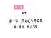 初中物理新滬科版八年級全冊第八章第一節(jié)第一課時(shí) 認(rèn)識(shí)壓強(qiáng)課堂作業(yè)課件2025春