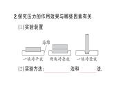 初中物理新滬科版八年級全冊第八章第一節(jié)第一課時(shí) 認(rèn)識(shí)壓強(qiáng)課堂作業(yè)課件2025春