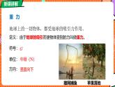北師大版（2024）物理八年級(jí)下冊(cè) 7.3 重力（課件）
