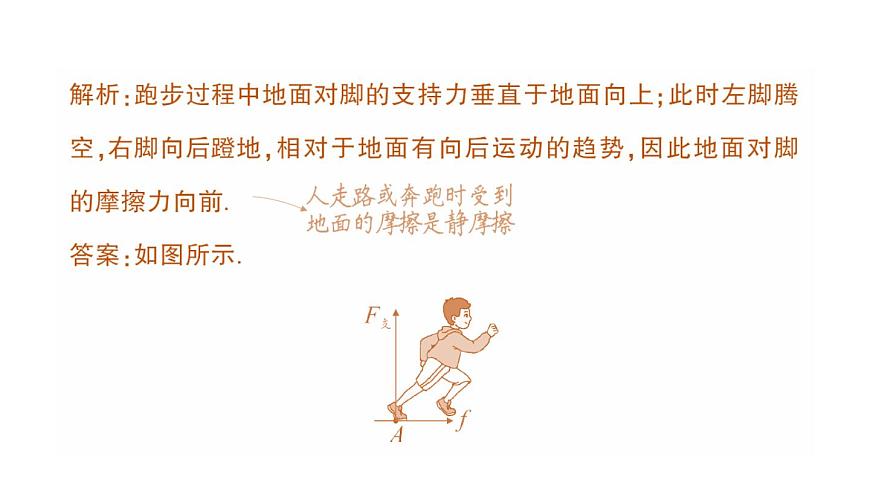 初中物理新北师大版八年级下册第七章专题二 力学作图作业课件2025春第3页