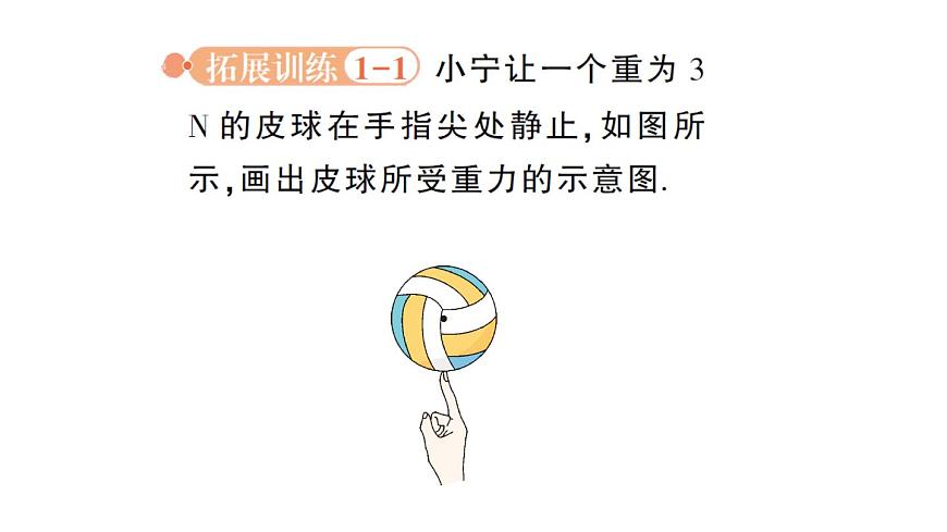初中物理新北师大版八年级下册第七章专题二 力学作图作业课件2025春第4页