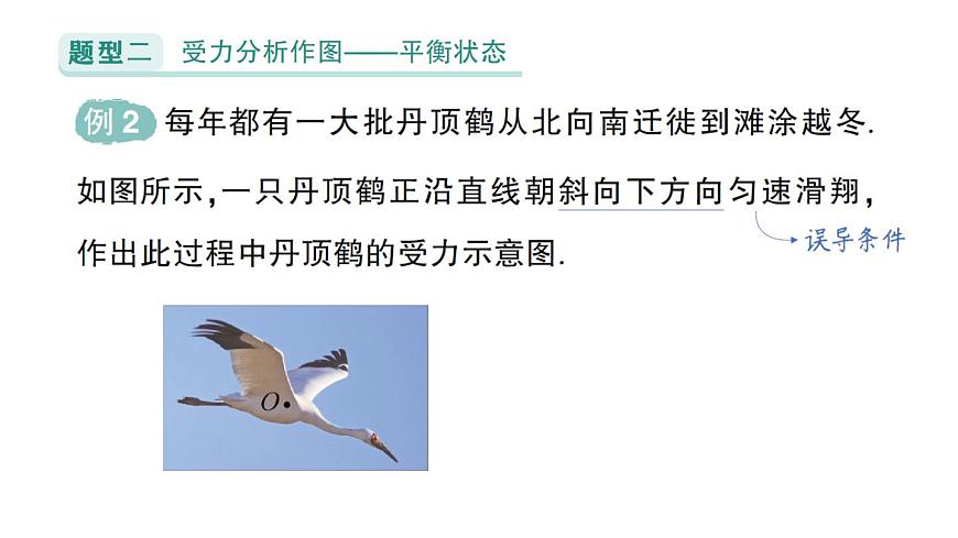 初中物理新北师大版八年级下册第七章专题二 力学作图作业课件2025春第6页