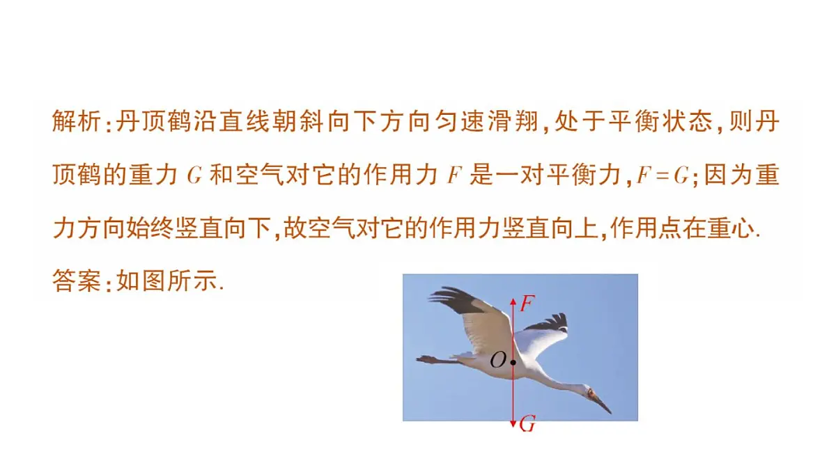 初中物理新北师大版八年级下册第七章专题二 力学作图作业课件2025春第7页