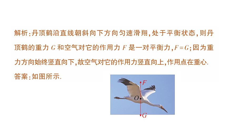 初中物理新北师大版八年级下册第七章专题二 力学作图作业课件2025春第7页