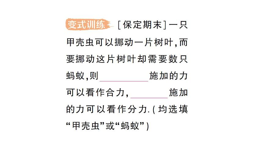 初中物理新北师大版八年级下册第七章第四节 同一直线上二力的合成作业课件2025春第4页