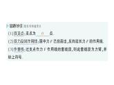 初中物理新北師大版八年級(jí)下冊(cè)第九章第一節(jié) 杠桿作業(yè)課件2025春