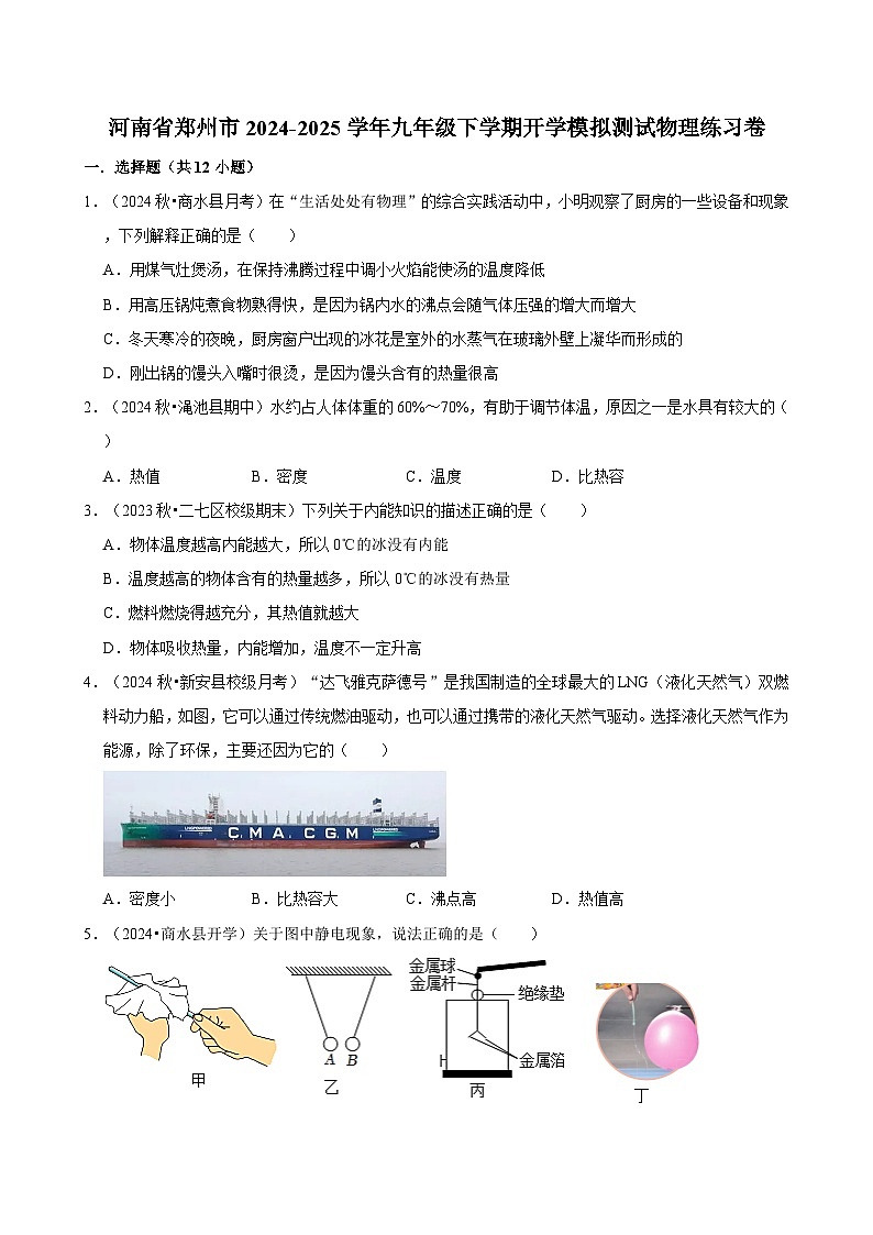 河南省郑州市2024-2025学年九年级下学期开学适应性模拟测试 物理练习卷（含解析）第1页