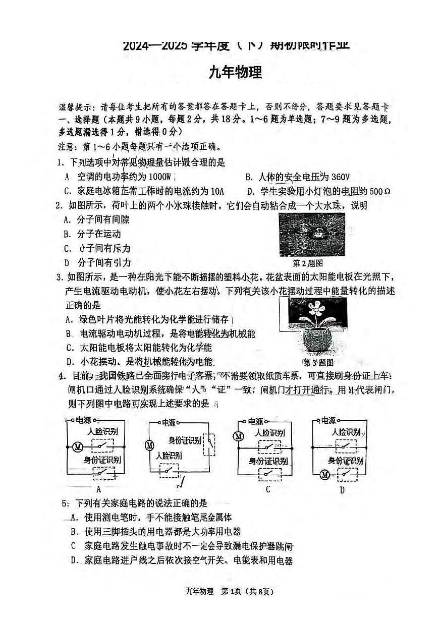 辽宁省鞍山市高新区2024-2025学年九年级下学期开学考试 物理试题（pdf版）第1页