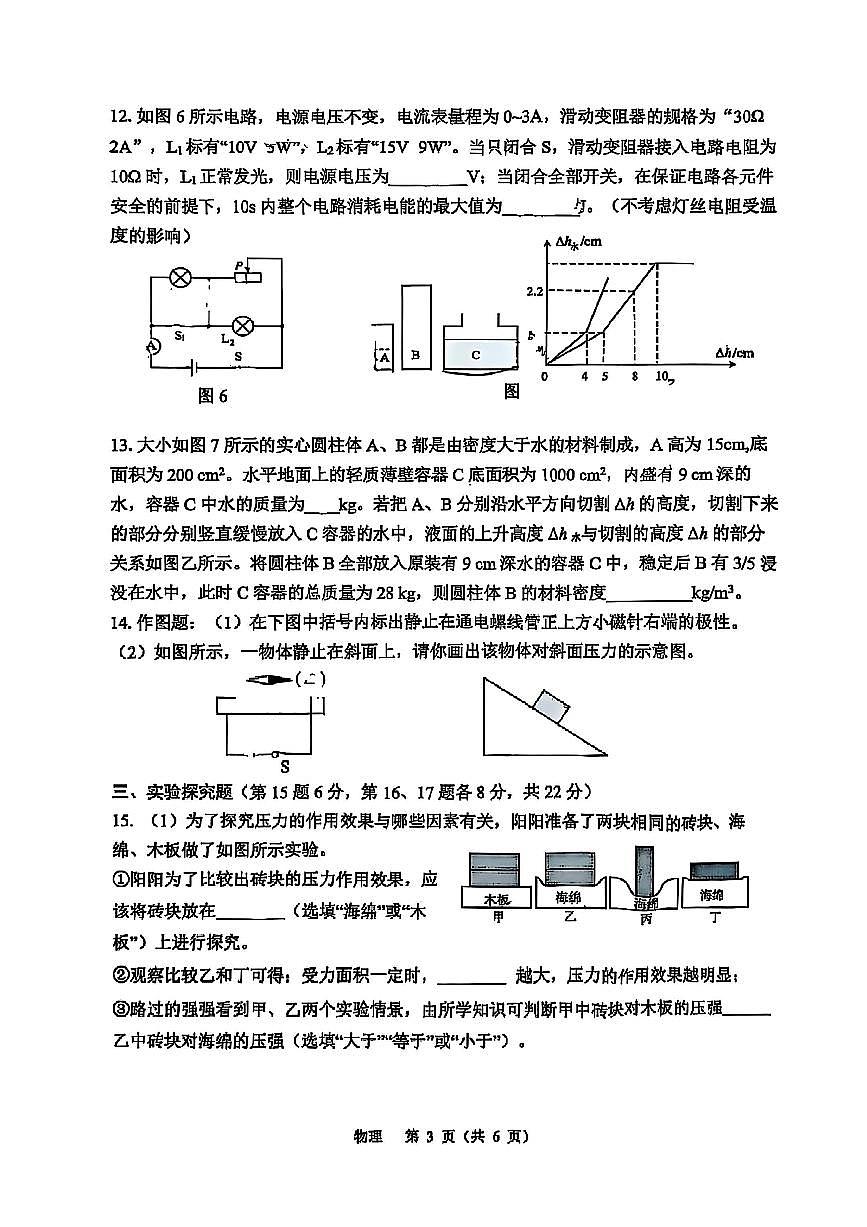 重庆市鲁能巴蜀中学2024-2025学年九年级下学期第一次月考 物理试卷（pdf版）第3页