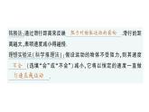 初中物理新滬科版八年級全冊第七章第一節(jié) 牛頓第一定律作業(yè)課件（2025春）