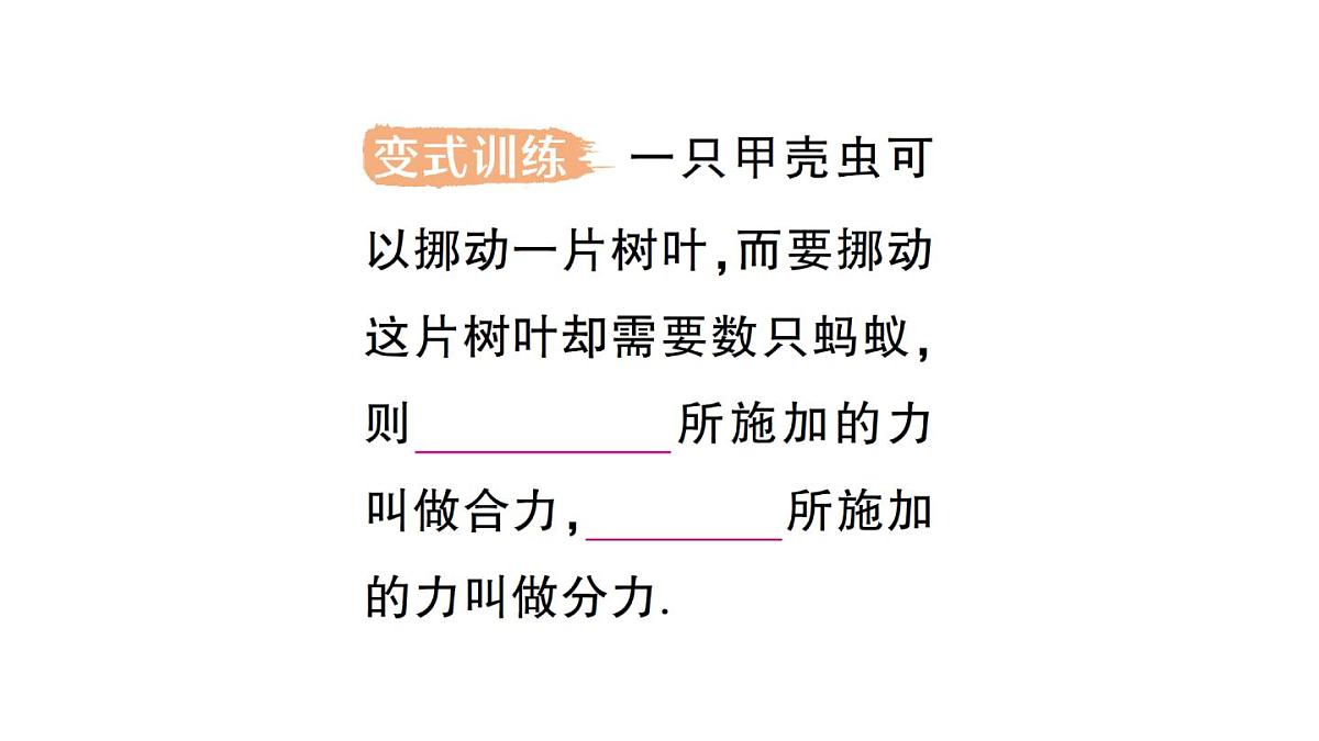 初中物理新沪科版八年级全册第七章第二节 力的合成作业课件（2025春）第4页