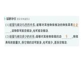 初中物理新滬科版八年級(jí)全冊(cè)第十章第三節(jié) 動(dòng)能和勢(shì)能作業(yè)課件（2025春）