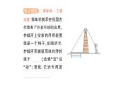 初中物理新滬科版八年級全冊第十一章第二節(jié) 滑輪及其應(yīng)用作業(yè)課件（2025春）
