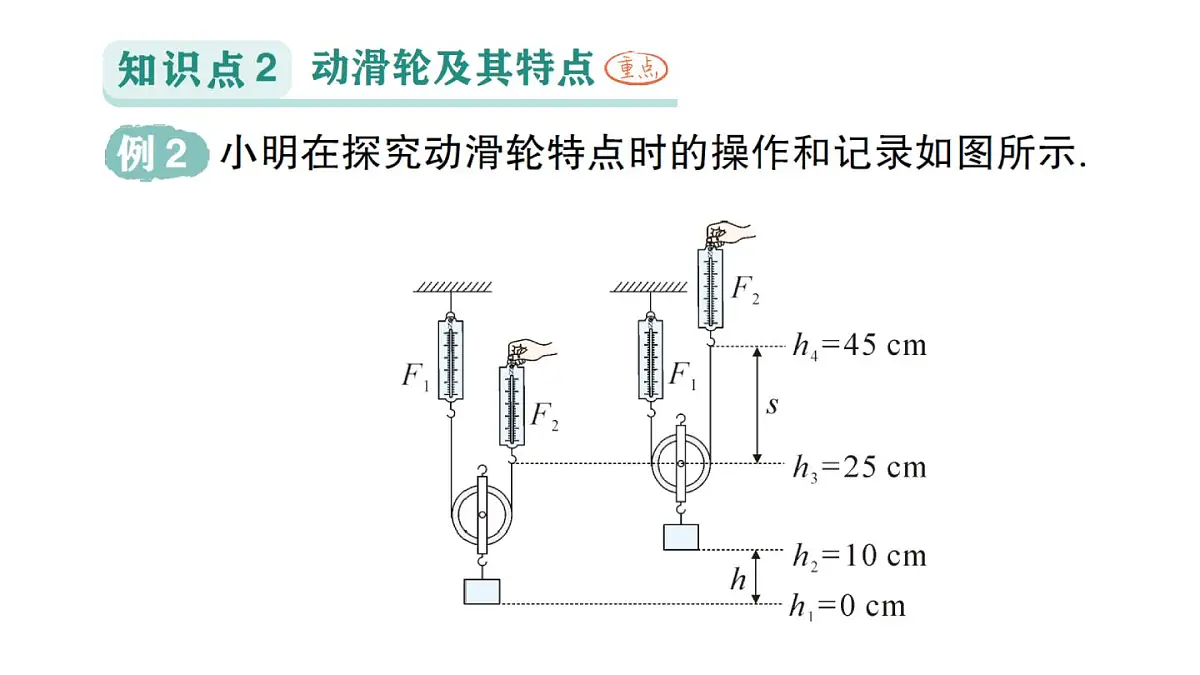初中物理新沪科版八年级全册第十一章第二节 滑轮及其应用作业课件（2025春）第5页