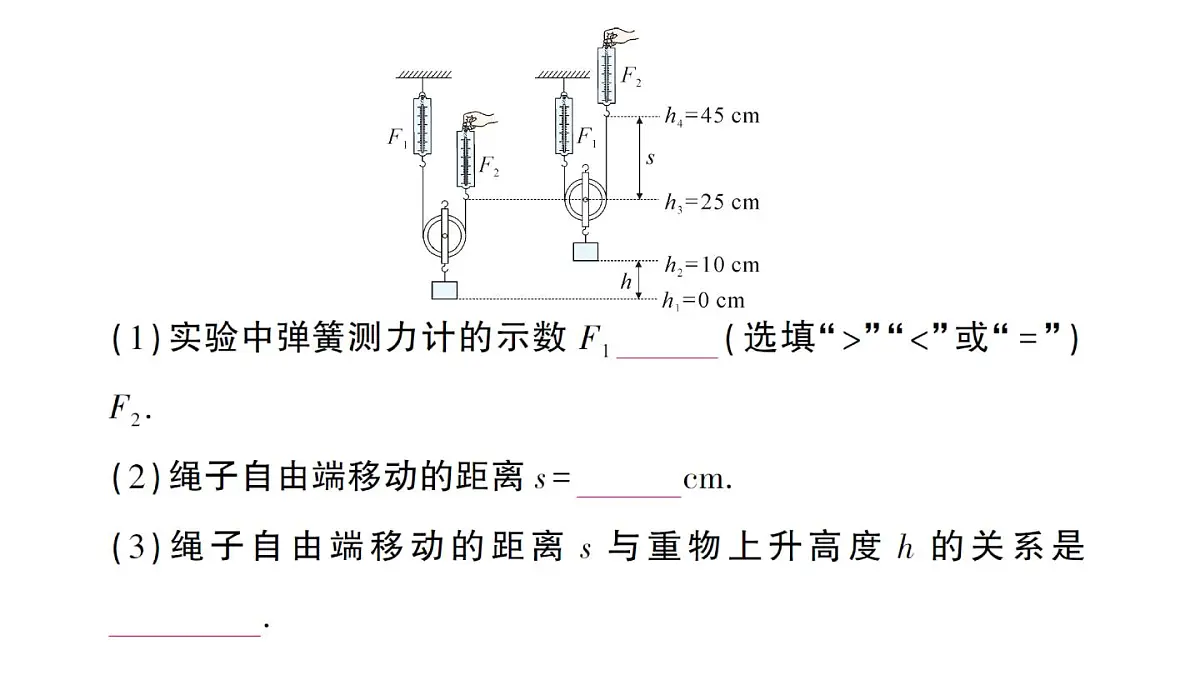 初中物理新沪科版八年级全册第十一章第二节 滑轮及其应用作业课件（2025春）第6页