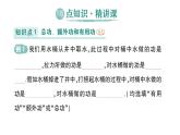 初中物理新滬科版八年級全冊第十一章第三節(jié) 機械效率作業(yè)課件（2025春）
