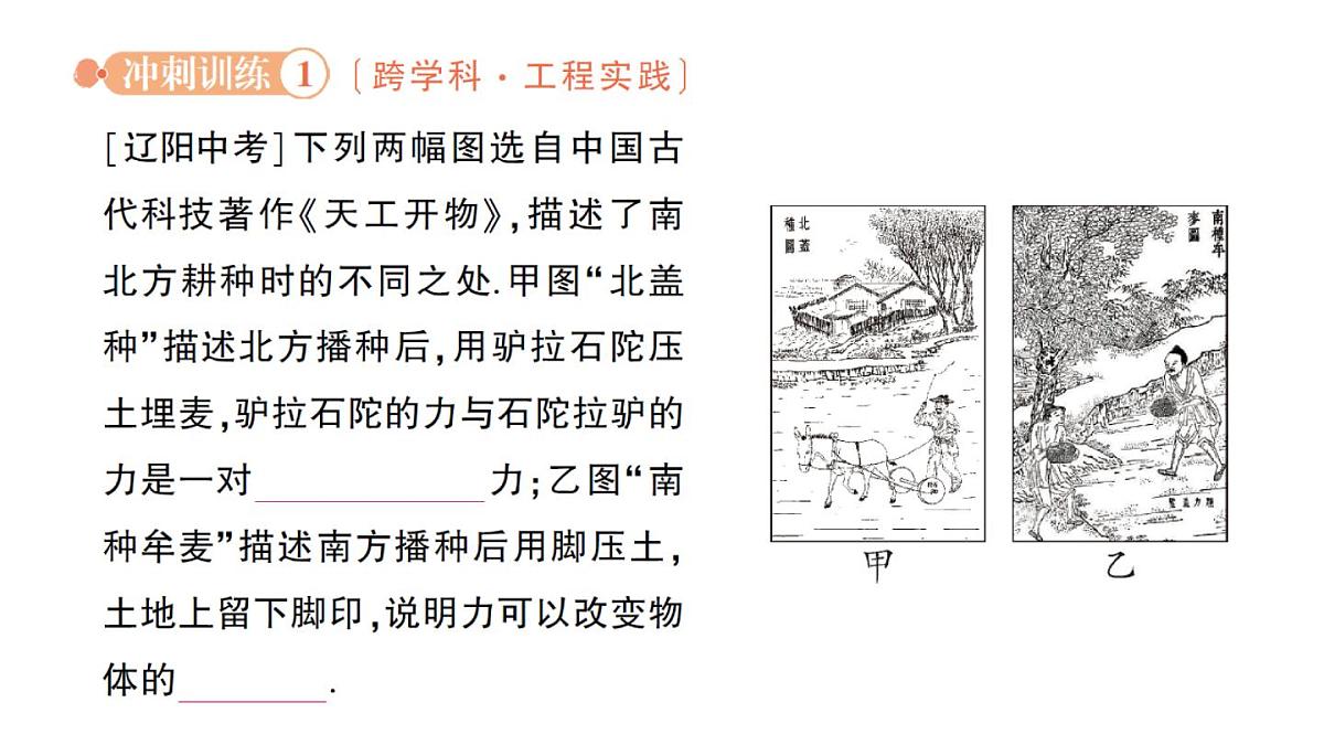 初中物理新北师大版八年级下册第七章章末复习提升作业课件2025春第4页