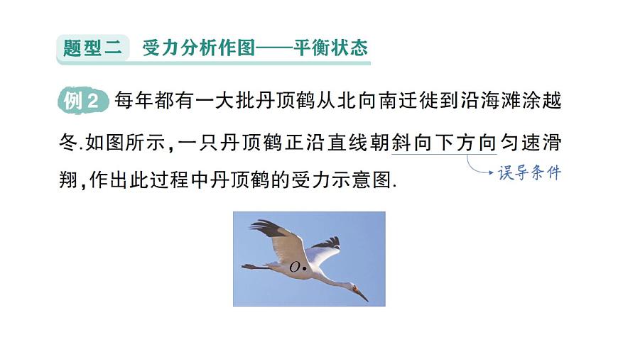 初中物理新沪科版八年级全册第七章专题一 力学作图作业课件（2025春）第5页