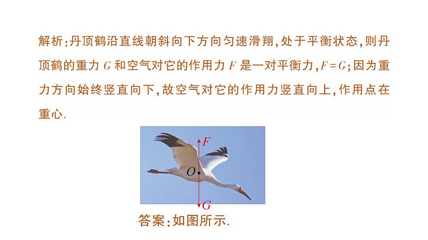 初中物理新沪科版八年级全册第七章专题一 力学作图作业课件（2025春）第6页