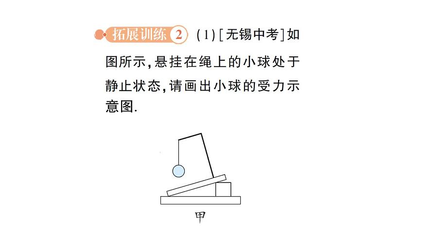 初中物理新沪科版八年级全册第七章专题一 力学作图作业课件（2025春）第7页
