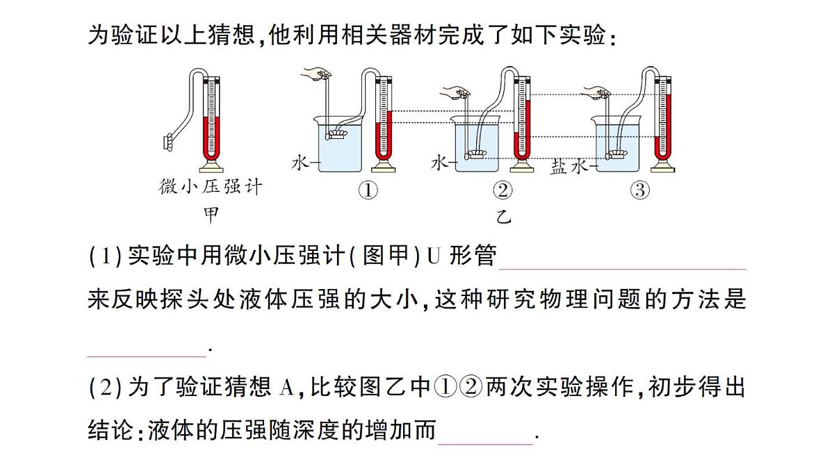 初中物理新沪科版八年级全册第八章第二节 探究：液体压强与哪些因素有关作业课件（2025春）第3页