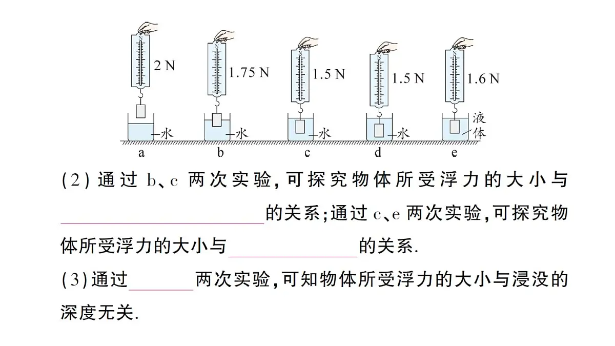 初中物理新沪科版八年级全册第九章第二节 探究：浮力大小与哪些因素有关作业课件（2025春）第4页