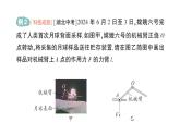 初中物理新滬科版八年級(jí)全冊(cè)第十一章第一節(jié) 探究：杠桿的平衡條件作業(yè)課件（2025春）