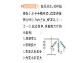 初中物理新滬科版八年級(jí)全冊(cè)第十一章專(zhuān)題四 杠桿動(dòng)態(tài)平衡的分析作業(yè)課件（2025春）