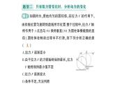 初中物理新滬科版八年級(jí)全冊(cè)第十一章專(zhuān)題四 杠桿動(dòng)態(tài)平衡的分析作業(yè)課件（2025春）