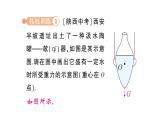 初中物理新教科版八年級(jí)下冊(cè)第八章專題一 力學(xué)作圖作業(yè)課件2025春
