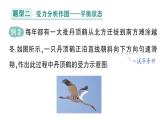 初中物理新教科版八年級(jí)下冊(cè)第八章專題一 力學(xué)作圖作業(yè)課件2025春