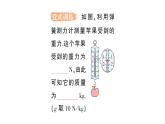 初中物理新教科版八年級下冊第7章第4節(jié) 重力作業(yè)課件2025春