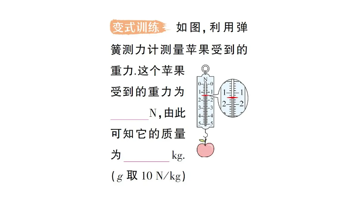 初中物理新教科版八年级下册第7章第4节 重力作业课件2025春第5页