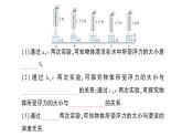 初中物理新教科版八年級下冊第10章第3節(jié) 科學(xué)探究：浮力的大小作業(yè)課件2025春