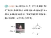 初中物理新教科版八年級(jí)下冊(cè)第11章第1節(jié) 杠桿作業(yè)課件2025春
