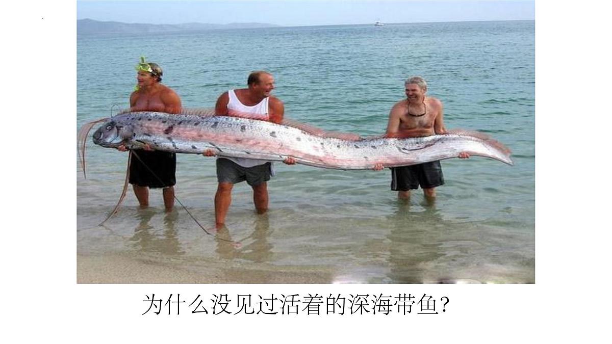 9.2液体的压强-2024-2025学年教科版物理八年级下学期课件第3页